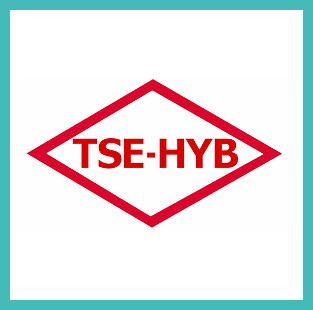 TSE 12047 - Garantili Özel Oto Servis Statüsü